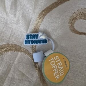 Stay Hydrated Straw Topper